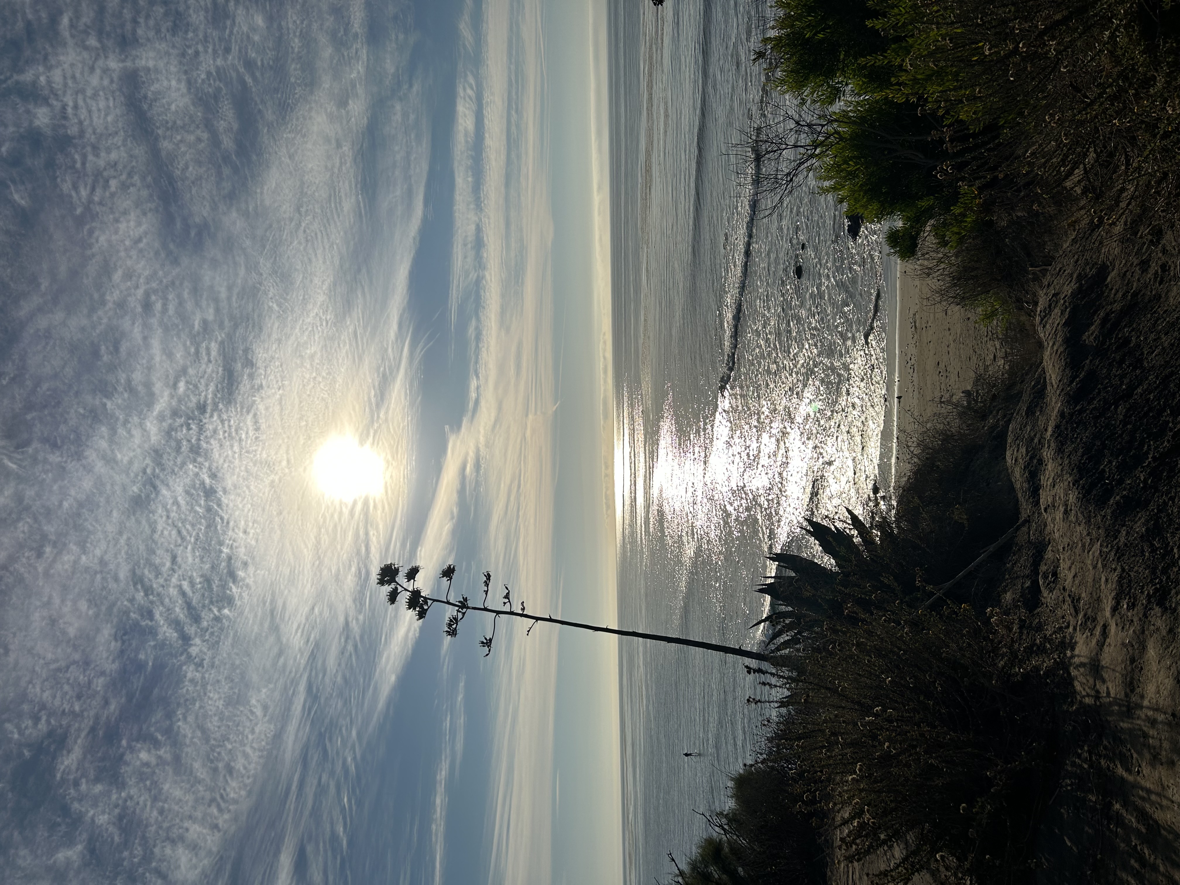 Morning Run at Coal Oil Point
